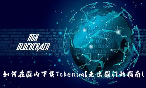 如何在国内下载Tokenim？走出国门的指南！