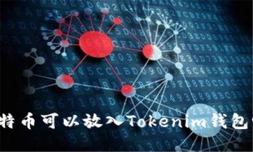 比特币可以放入Tokenim钱包吗？