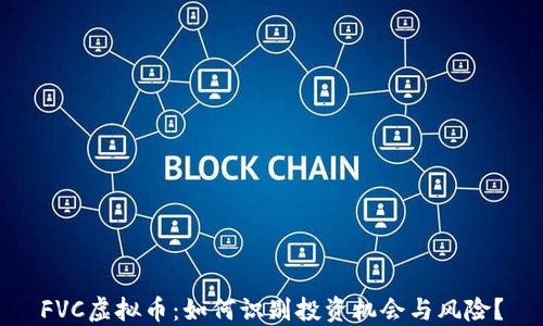 
FVC虚拟币：如何识别投资机会与风险？