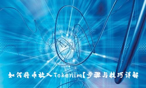 如何将币放入Tokenim？步骤与技巧详解
