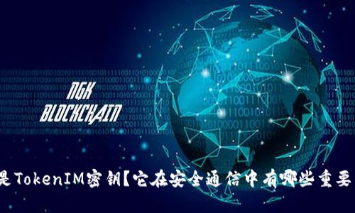 什么是TokenIM密钥？它在安全通信中有哪些重要作用？