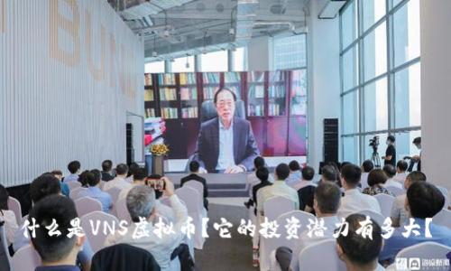 什么是VNS虚拟币？它的投资潜力有多大？