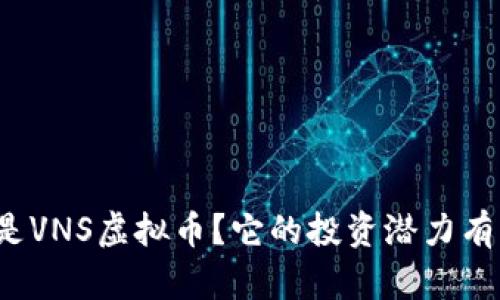 什么是VNS虚拟币？它的投资潜力有多大？