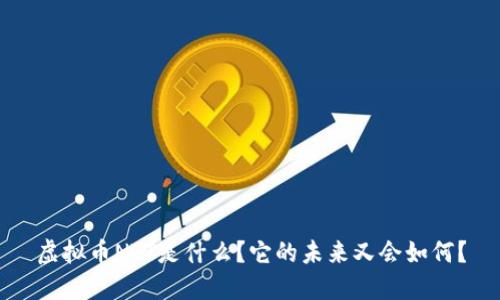 虚拟币NTT是什么？它的未来又会如何？