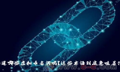 你知道哪些虚拟币名词吗？这些术语到底意味着什么？