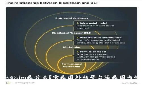 Tokenim是什么？它是国外的平台还是国内的？