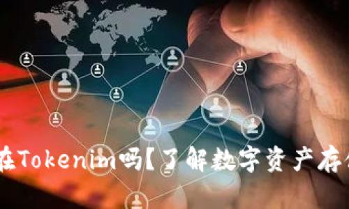 USDT可以放在Tokenim吗?了解数字资产存储的最佳选择