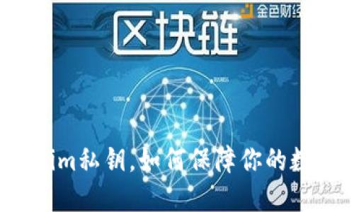 什么是Tokenim私钥，如何保障你的数字资产安全？