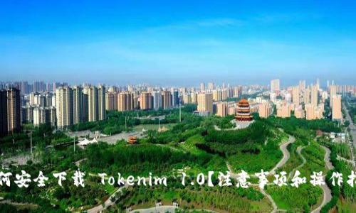如何安全下载 Tokenim 1.0？注意事项和操作指南
