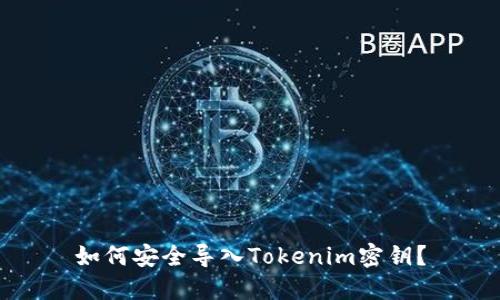 如何安全导入Tokenim密钥？