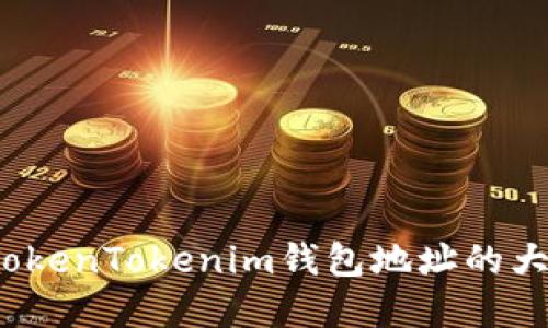 如何了解TokenTokenim钱包地址的大小写规则？