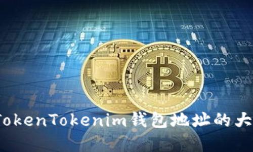 如何了解TokenTokenim钱包地址的大小写规则？