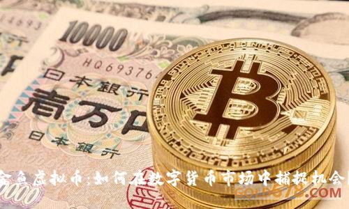 金鱼虚拟币：如何在数字货币市场中捕捉机会？