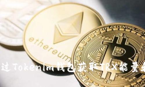 思考  
如何通过Tokenim钱包获取TRX能量和带宽？