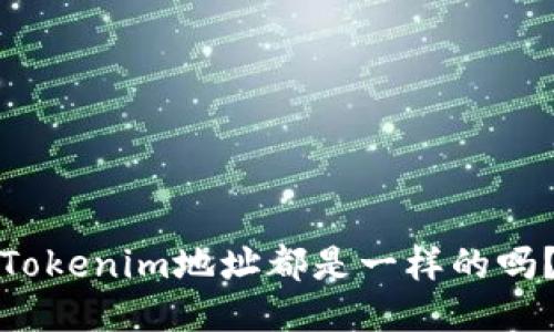 Tokenim地址都是一样的吗？