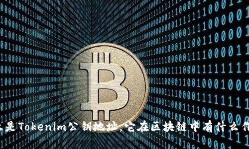 什么是Tokenim公钥地址，它在区块链中有什么作用？