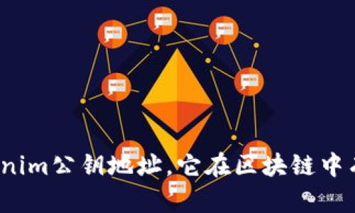 什么是Tokenim公钥地址，它在区块链中有什么作用？