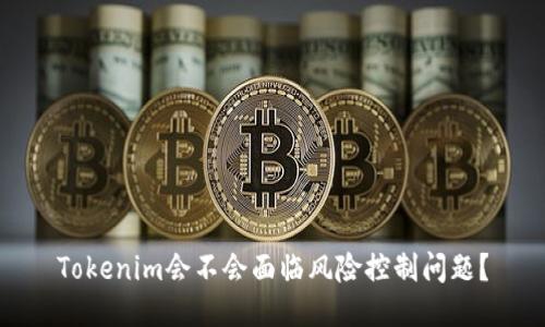 Tokenim会不会面临风险控制问题？