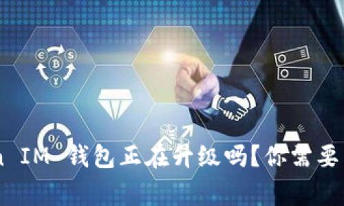 Tokentoken IM 钱包正在升级吗？你需要了解的事实！