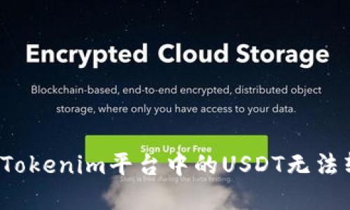 如何解决Tokenim平台中的USDT无法转出问题？