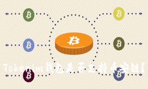 Tokenim钱包是否支持币安链？