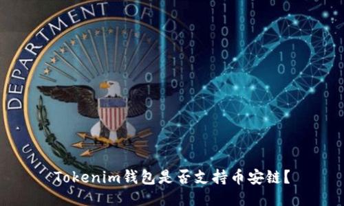 Tokenim钱包是否支持币安链？
