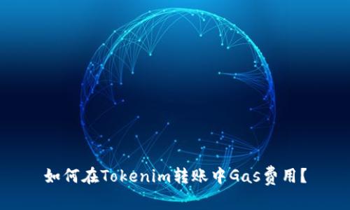 如何在Tokenim转账中Gas费用？
