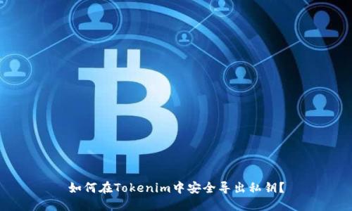 如何在Tokenim中安全导出私钥？