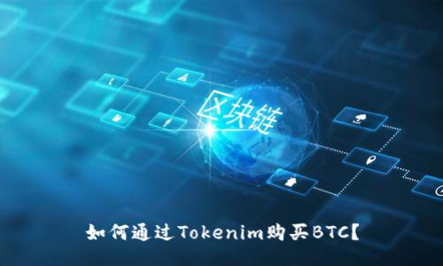 如何通过Tokenim购买BTC？