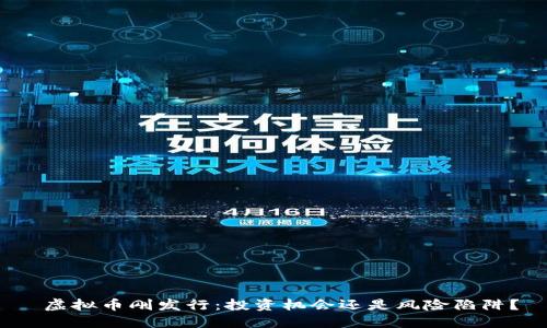  虚拟币刚发行：投资机会还是风险陷阱？