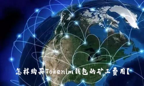 怎样购买Tokenim钱包的矿工费用？
