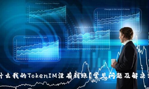 为什么我的TokenIM没有到账？常见问题及解决方案