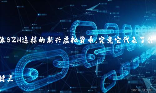 虚拟货币领域的发展让每个人都充满了好奇，尤其是像BZH这样的新兴虚拟货币，究竟它代表了什么？投资BZH是否真能给你带来意想不到的财富？brbr

以下是符合您要求的内容，包括和相关的关键词：

为什么BZH虚拟币如此受欢迎？投资者需要知道的关键点