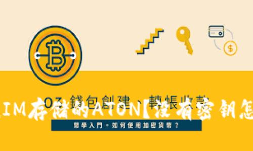 什么是TokenIM存储的ATON？没有密钥怎么安全存储？