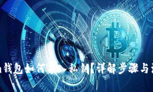 tokenim钱包如何导入私钥？详解步骤与注意事项