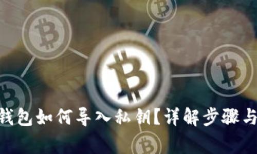tokenim钱包如何导入私钥？详解步骤与注意事项