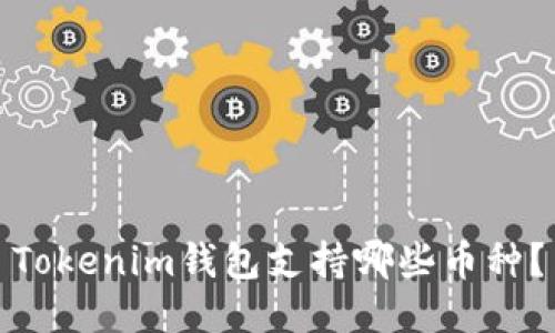 Tokenim钱包支持哪些币种？
