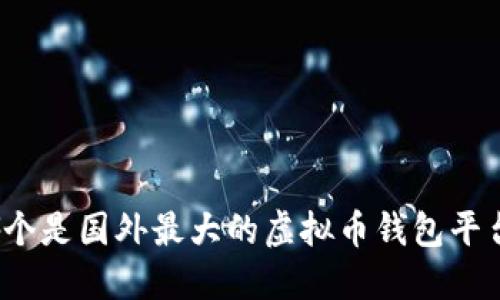 哪个是国外最大的虚拟币钱包平台？