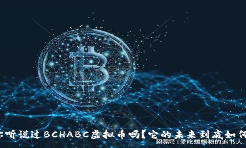 :

你听说过BCHABC虚拟币吗？它的未来到底如何？
