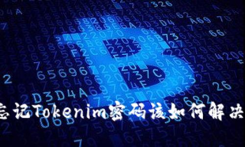 忘记Tokenim密码该如何解决？