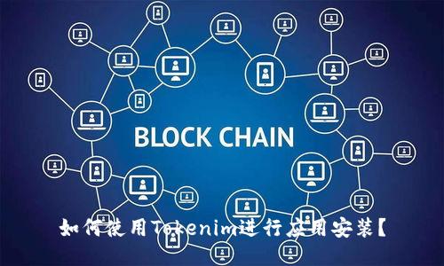 如何使用Tokenim进行应用安装？