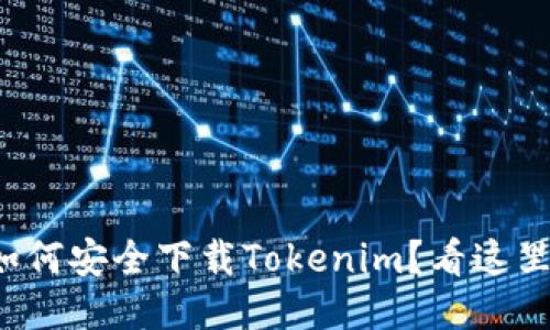 如何安全下载Tokenim？看这里！