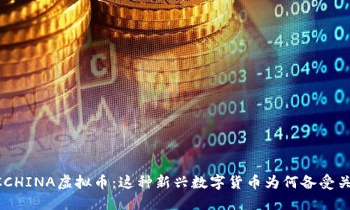 ACCCHINA虚拟币：这种新兴数字货币为何备受关注？
