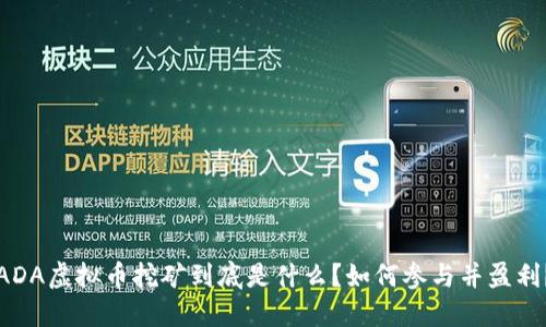ADA虚拟币挖矿到底是什么？如何参与并盈利？