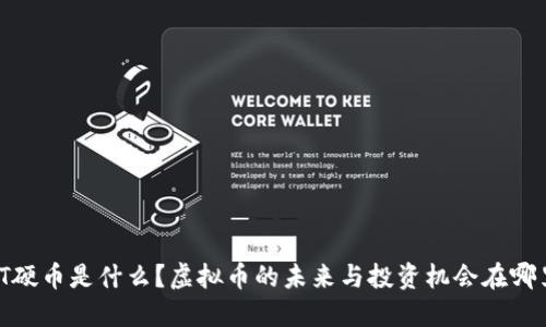  IT硬币是什么？虚拟币的未来与投资机会在哪里？