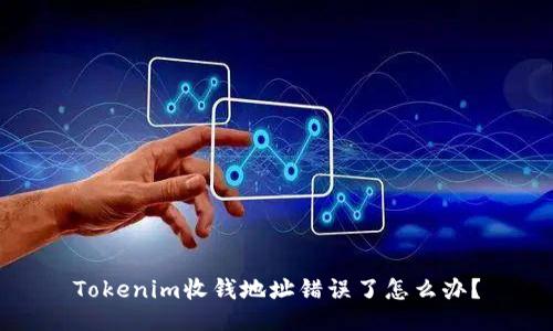 Tokenim收钱地址错误了怎么办？