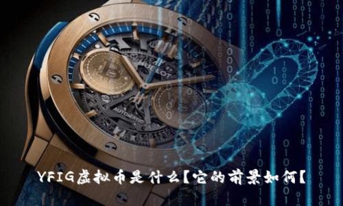YFIG虚拟币是什么？它的前景如何？
