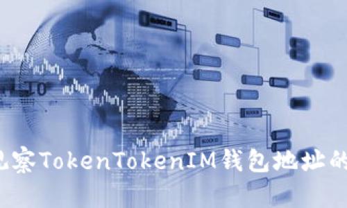 如何观察TokenTokenIM钱包地址的信息？