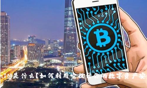 TokenIM是什么？如何利用它提升你的数字资产安全性？