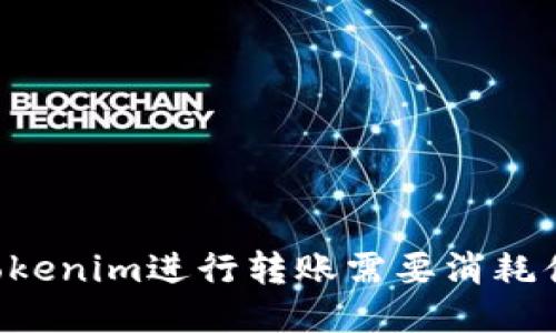 用Tokenim进行转账需要消耗什么？